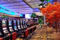 Autobús llançadora del casino de Hollywood, El casino Valley Forge té apostes esportives, apostes al casino